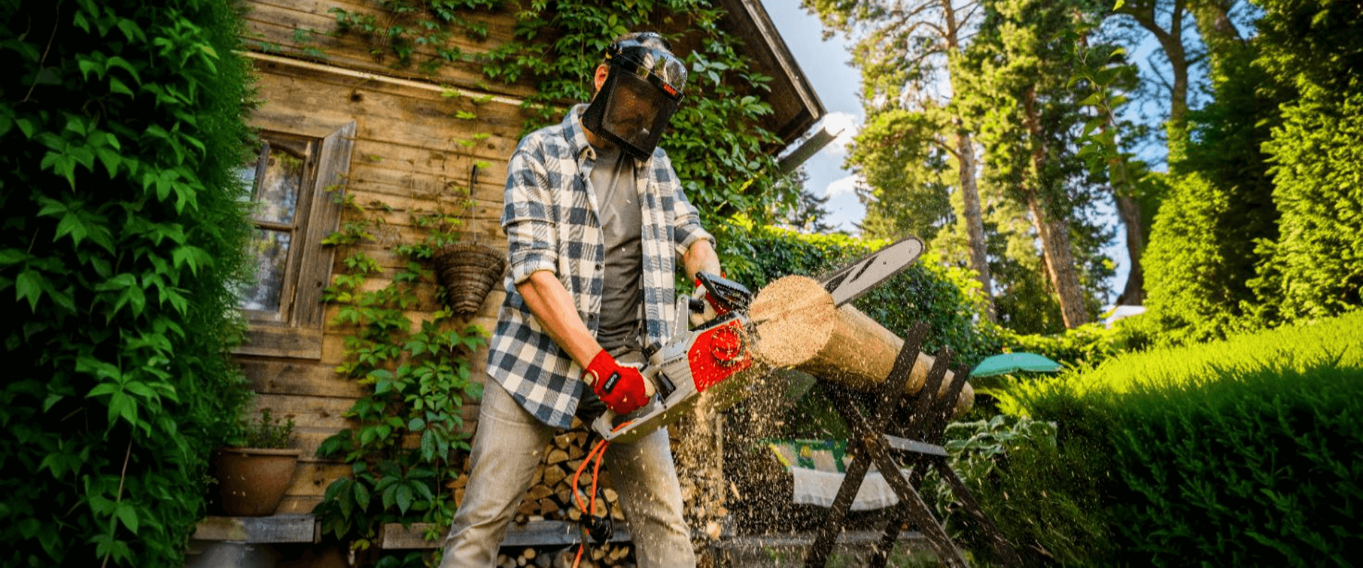 Цепные пилы на любой вкус
