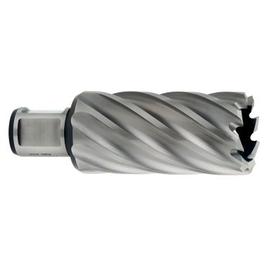 фото Фреза по металлу 20 х 55 мм (Weldon 19) HSS METABO 626529000