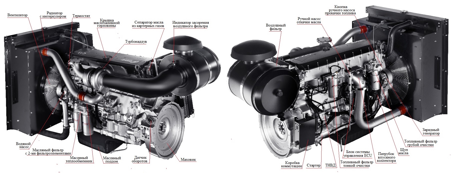 фото Дизельный генератор ТСС АД-320С-Т400-1РМ20