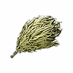 Веники
