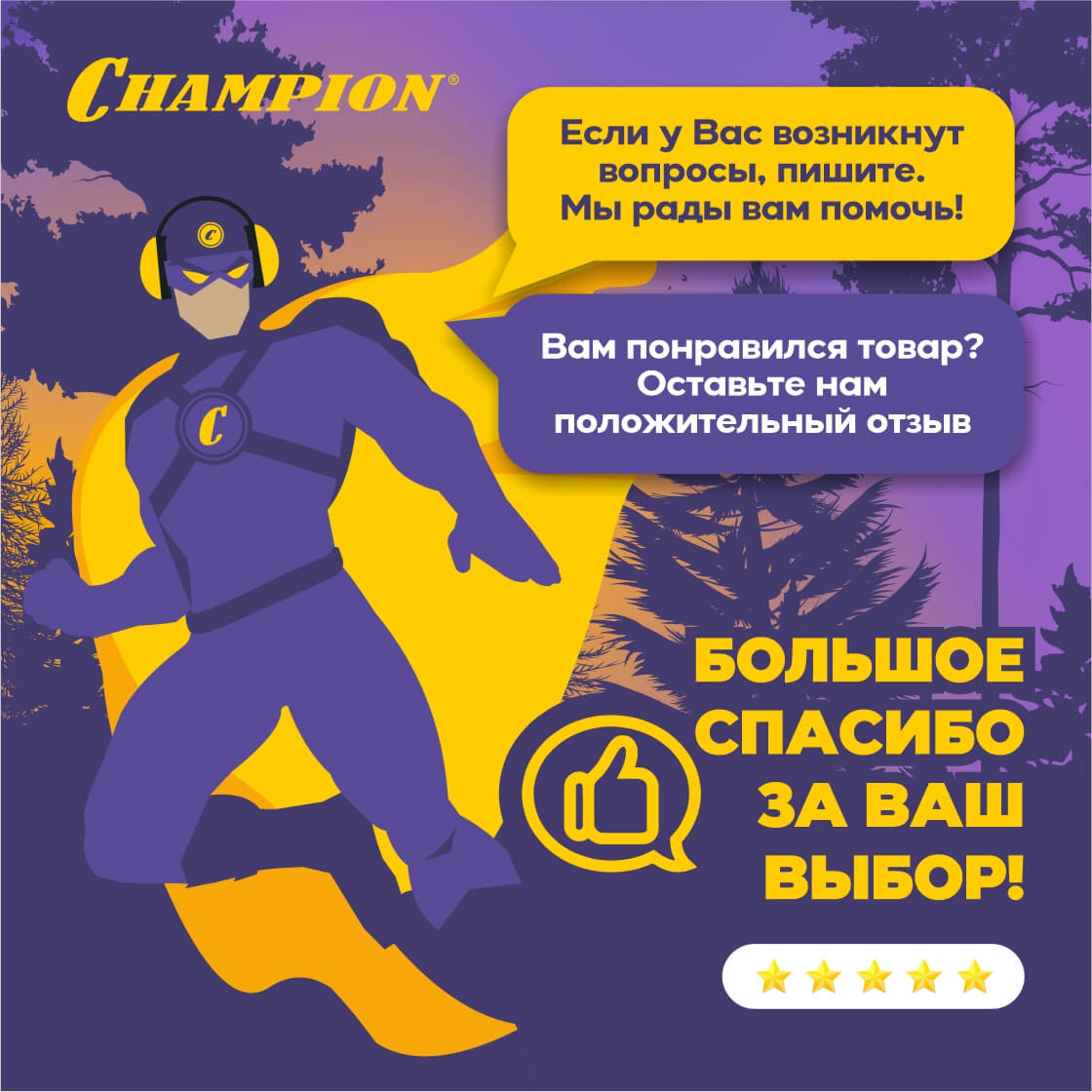 фото Двигатель CHAMPION G210HK