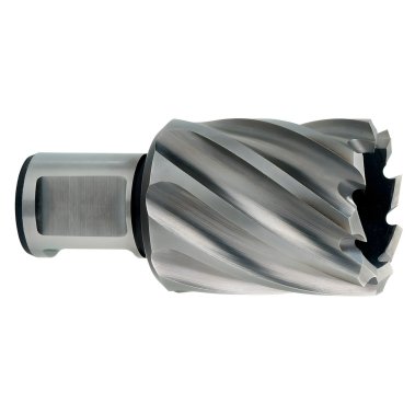 фото Фреза по металлу 24 х 30 мм (Weldon 19) HSS METABO 626512000