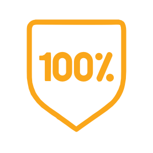 100.png 100.png