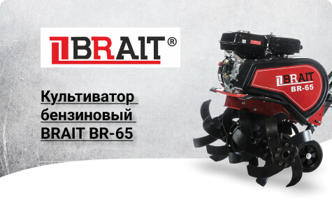 brait.jpg 56 (1).jpg