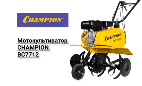 champion.png 1080х607 px.png