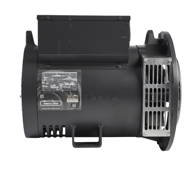 фото Mecc Alte ECP28-0S/4 (10,8 кВт)