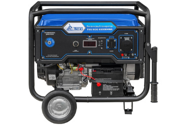 фото Генератор бензиновый TSS SGG 8000EHNA