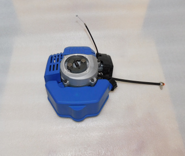 фото Двигатель бензиновый 1E44F TSS-GJH95 (№1)/Gasoline engine TSS-GJH95 (JH95A,№1)