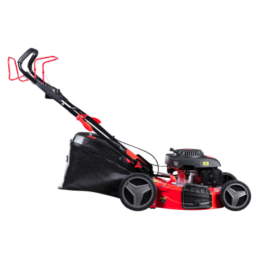 фото Газонокосилка бензиновая самоходная FUBAG FPL 56 SM 46295