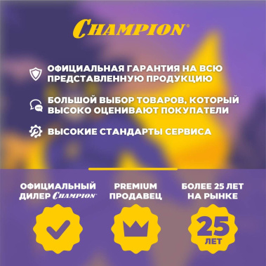 фото Скарификатор бензиновый CHAMPION GSC5140