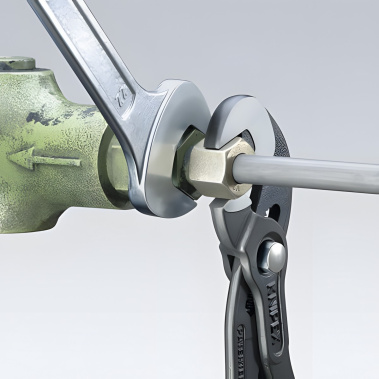 фото Клещи переставные 250 мм Raptor (черн) KNIPEX KN-8741250